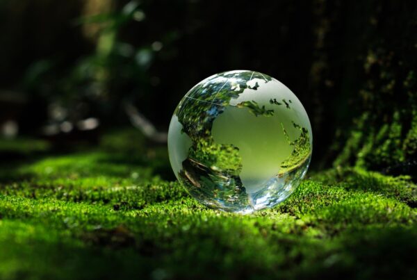 ESG: Driving sustainability for long-term success